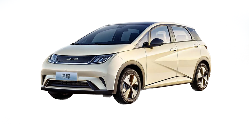 Dolphin Comfort Design